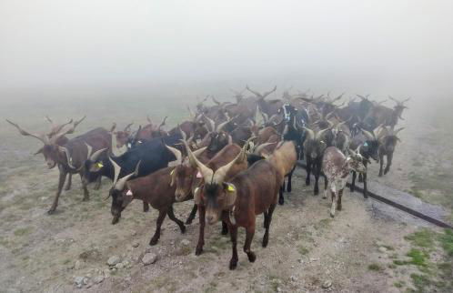 Le Nopal Bleu - Foto 45