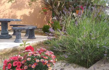 Rural Apartment Ante - Photo 18