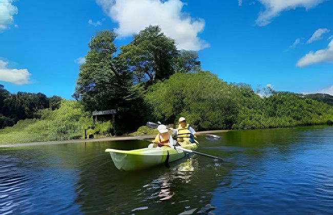 Cabañas Los Notros Puerto Varas - Photo 27