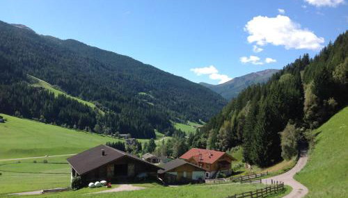 Biohof Hamann - Foto 4, Garden