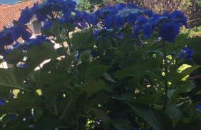 Residenza vista lago mozzafiato - Photo 7