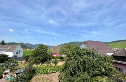 Le Cerisier - Route des vins - Parking et terrasse avec vue sur montagnes et vignoble - Foto 5