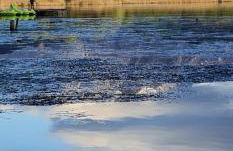 AL 2789 Casa Vacanza - Foto 15