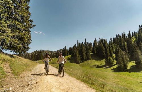 Yeti YT17B6 MOUNTAIN & NATURE 4 Pers - Foto 17