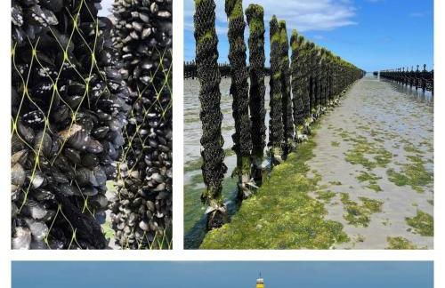 L'Agapanthe, Gîte au coeur de la Baie de Saint Brieuc - Foto 10