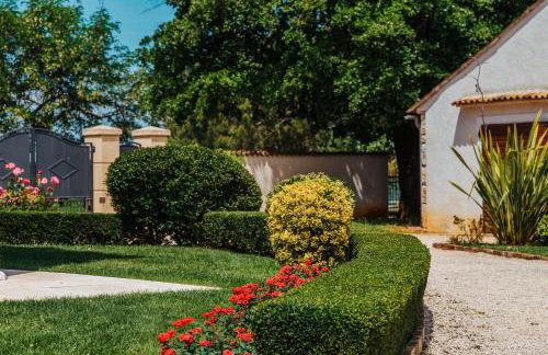 Villa Stanzia Cocci - Foto 13