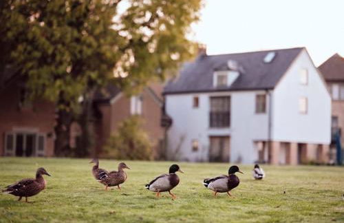 Castleford Cottage , Lowermill Estate - Photo 18