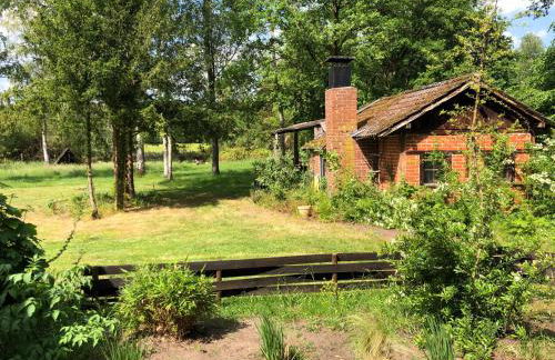 Gästehaus am Aller Radweg - Photo 14