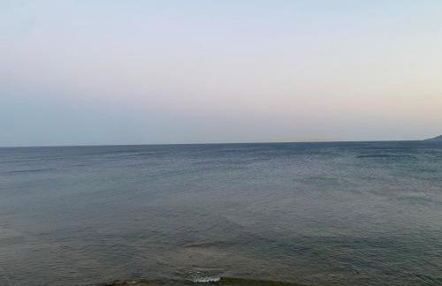 Terry Studio - Foto 48