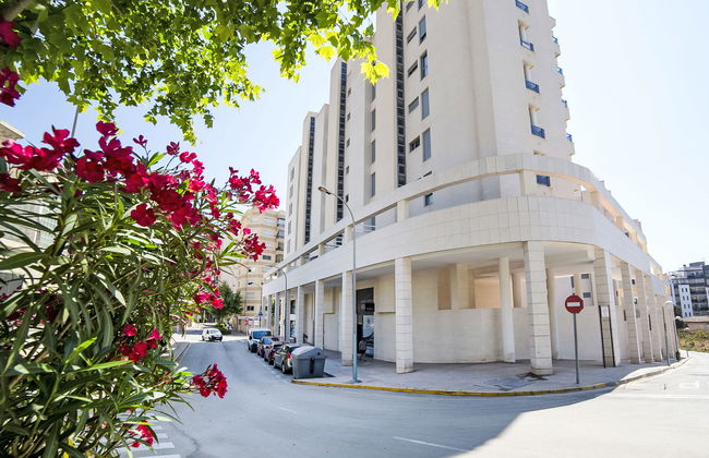 Plaza Mayor - Foto 15