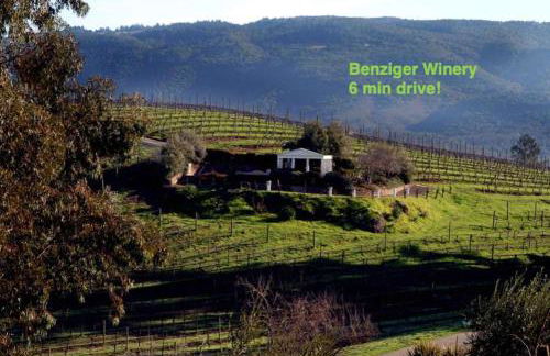 Lovely Creekside Wine Country Home in Glen Ellen - Foto 39