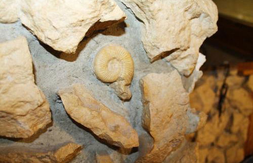 Fully equipped Apartments - Foto 35