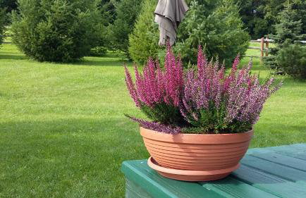 Domek jak z bajki - stylowy domek z bali z kominkiem - Foto 32