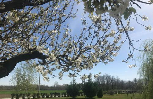 Agriturismo La Biandrina - Foto 75