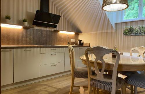 S-VILLA Apartments im Schwarzwald - Foto 42