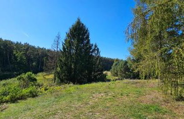 Leśna Przystań Bory Tucholskie - Foto 25