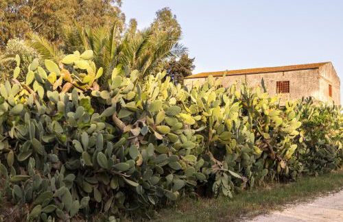 Tenuta dei Principi di Spadafora - Foto 50