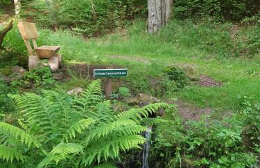 ferienwohnungen.ruhla - Foto 30