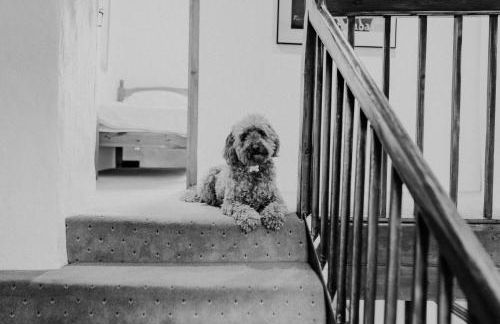 Treleddyn Farmhouse - Photo 43