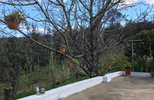 Casas Bemposta - Foto 53