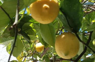 Chalet Antonio&Ewa - Foto 12