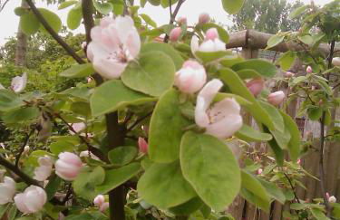 Hofboddenblick - Foto 51