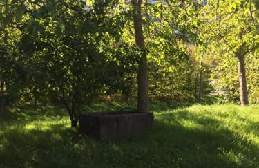 Capannina Vesale - Photo 28