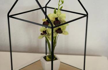 Apartments Ema - Foto 16