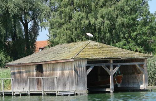 Dennenboomdroom - Foto 51