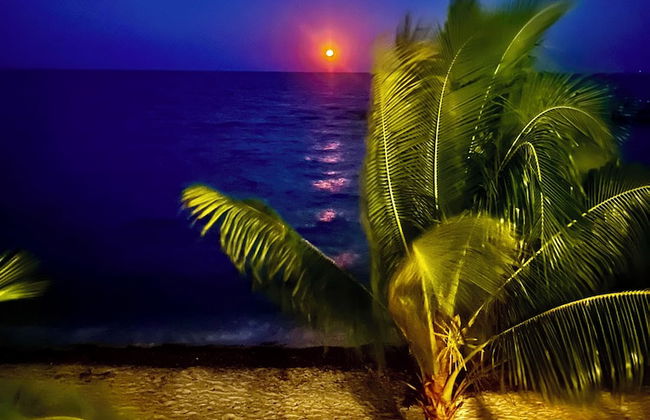 Finca Beachfront Tree house - Foto 9