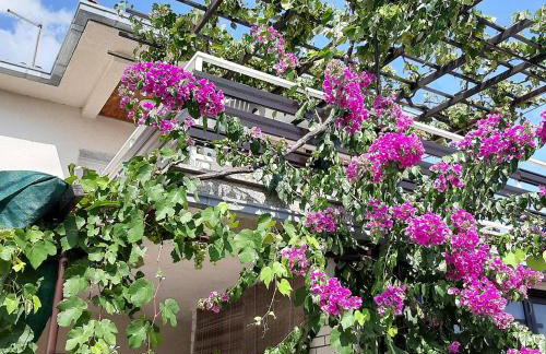 Apartment Meri - Foto 11