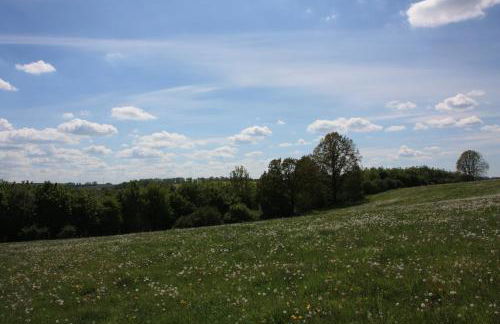 Fewo Am Geyersberg - Foto 21