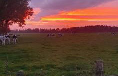 3 Zi. 30 Min. von Hamburg, Landhaus Wohnung - Foto 24