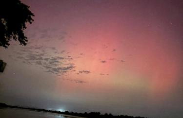 Paw Paw Tree Estate - Foto 26