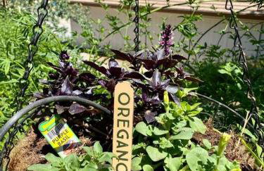 B-B Ranch Cottage~Heart of Gold Country~*HOT TUB* - Foto 19