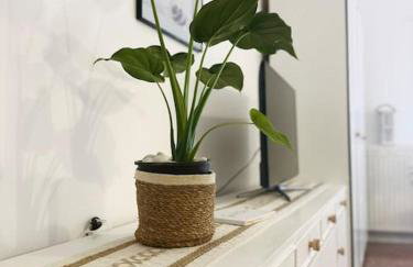 Στούντιο 40 - Foto 13