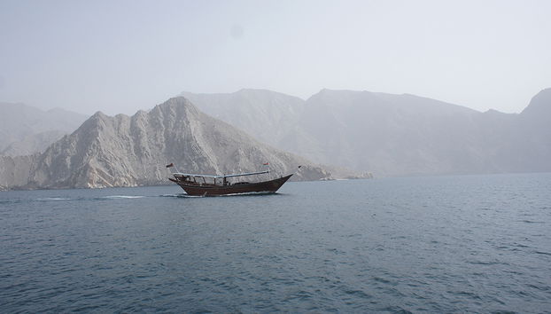 Dolphin Cruise - Photo 5