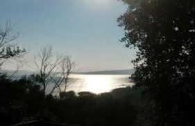 La Cerasa - il Lago fuori - Foto 68