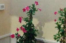 MAGNA GRECIA SEA HOME - Foto 56