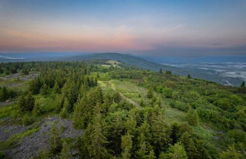 Panorama Point - Sauna, hot tub, theater room - Photo 64