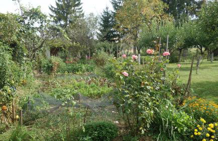 Apartment Mia - Foto 55