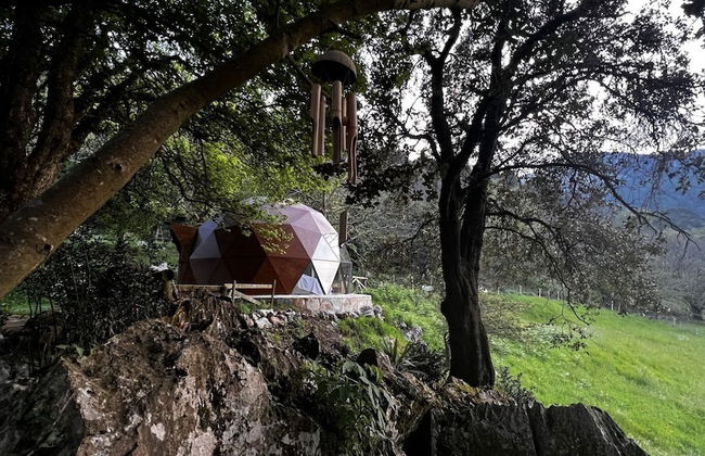 Los Acebos de Peña Cabarga - Foto 65