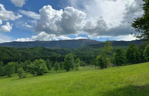 Domek SAMI SWOI - Foto 5