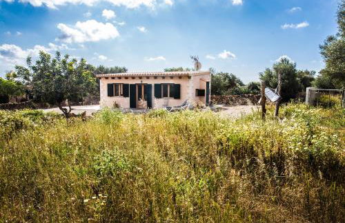 Finca Agroturismo Sa Cova den Borino - Foto 98