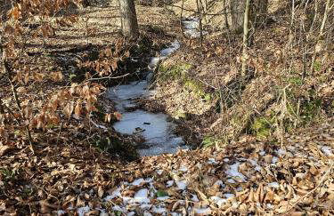 Malowany Las - Foto 31