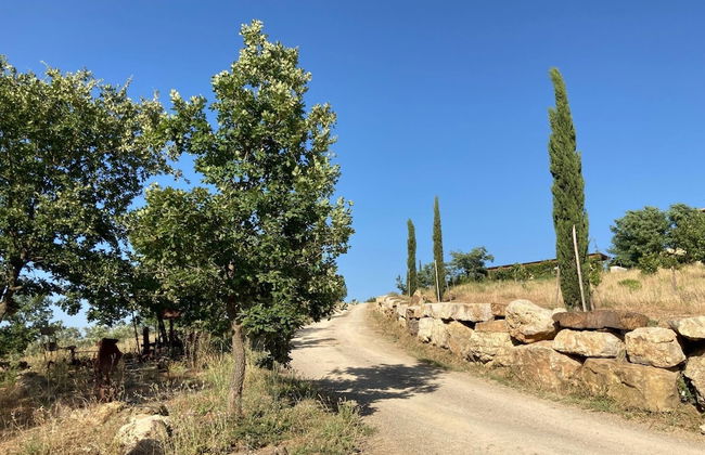 Villa Ambretta in Campagnatico - Foto 4