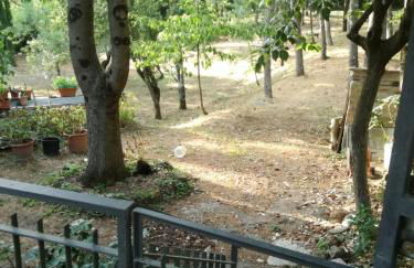 Casa Della Nonna - Foto 8