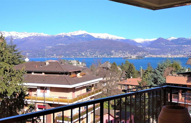 Pettirosso - Photo 16