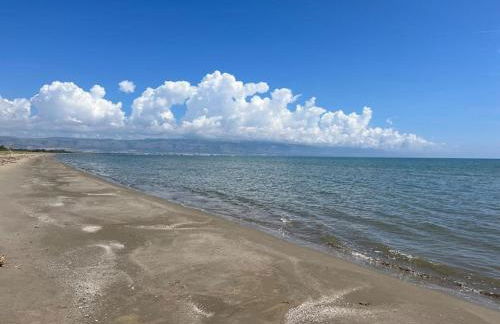 Casa caretta caretta - Foto 18