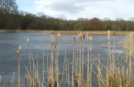 Ferienwohnung Zinne-Wigger - Foto 7
